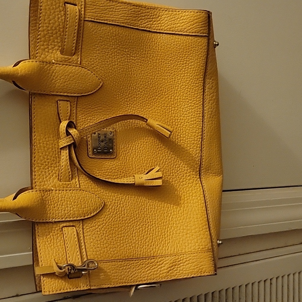 Womens Dooney and Bourke purse with dust cover